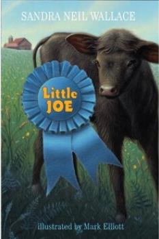Little Joe  [8岁及以上]