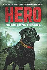 Hero: Hurricane Rescue