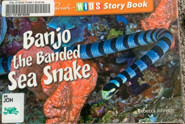 banjo the banded Sea Snake