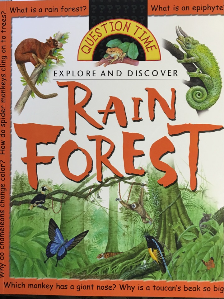 Question Time: Rainforest