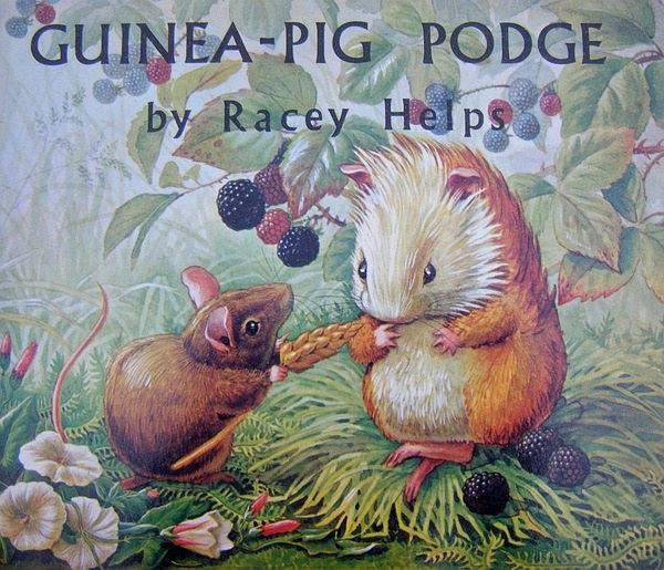 Guinea Pig Podge