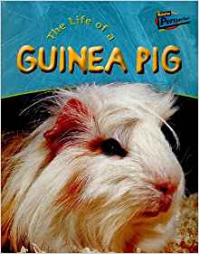 Life of a Guinea Pig (Life Cycles)