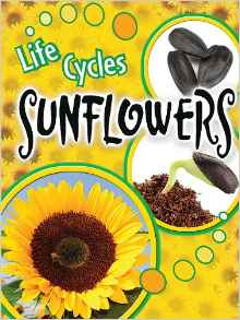 Sunflowers (Life Cycles (Rourke Paperb