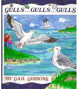 Gulls-- Gulls-- Gulls