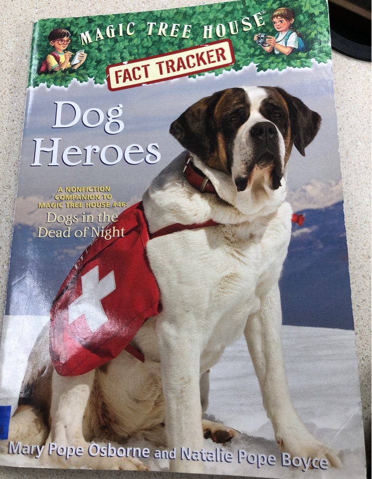 Dog heroes