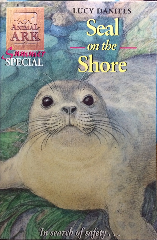 Seal on the Shore