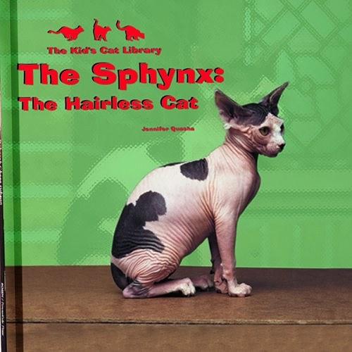 The Sphynx - the Hairless Cat