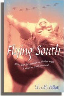 Flying South Usborne英文原版