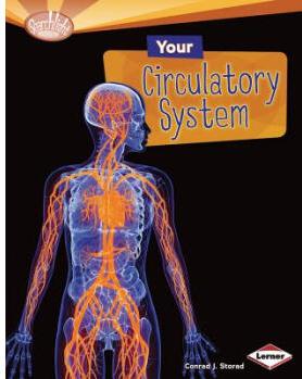 Your Circulatory System [Library Bindi