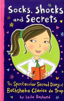 Socks Shocks and Secrets Usborne英文原版