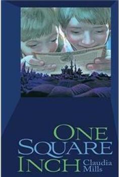 One Square Inch  [10岁及以上]