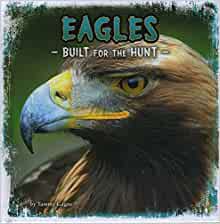 Eagles (First Facts: Predator Profiles