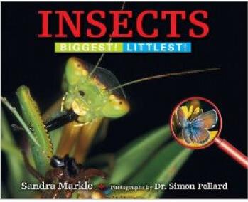 Insects  Biggest! Littlest!  [05--07]
