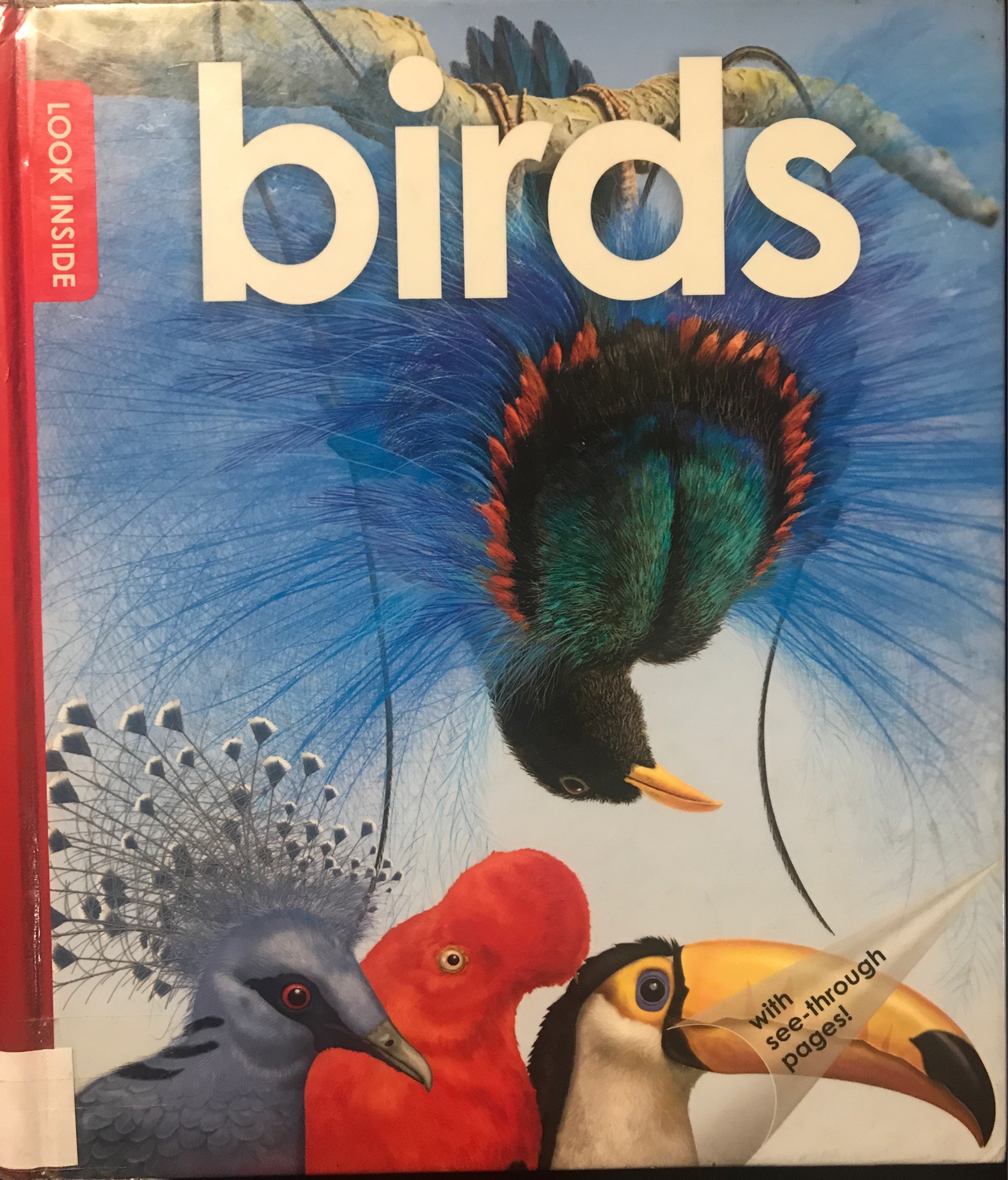 Birds pages Magic 2D Ptitsy Volshebnye