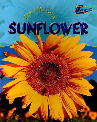 The Life of a Sunflower