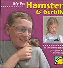 My Pet Hamster & Gerbils (All About Pe