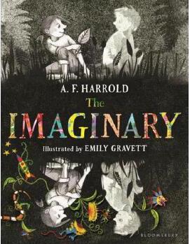 The Imaginary