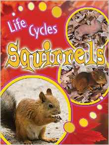Squirrels (Life Cycles (Rourke Paperba