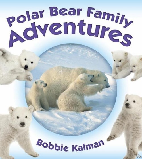 Polar Bear Family Adventures