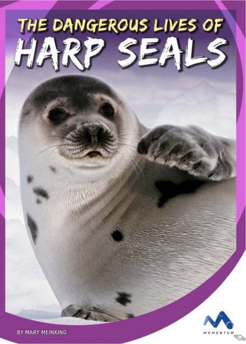 The Dangerous Lives of Harp Seals