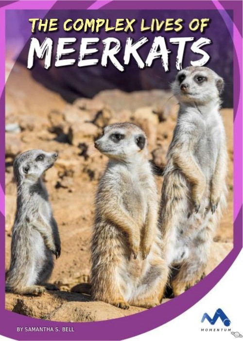 The Complex Lives of Meerkats