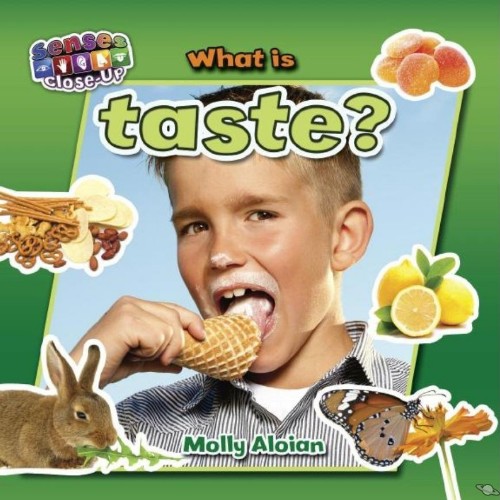 What is taste
