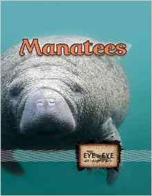 Manatees (Eye to Eye with Endangered S