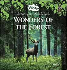 Wonders of the Forest. Secrets of the 