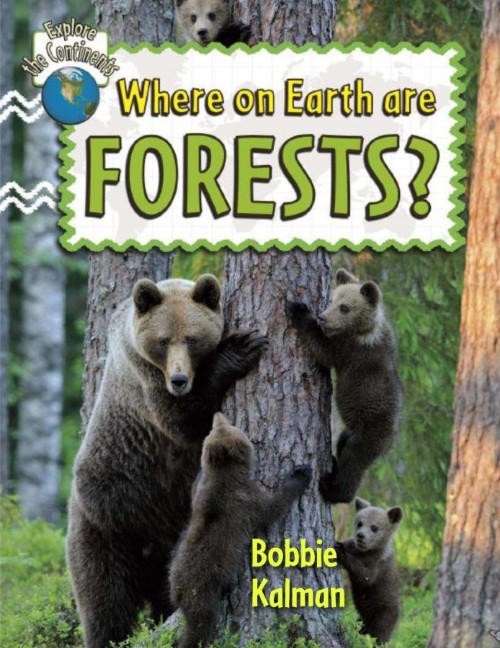 Where on Earth are Forests