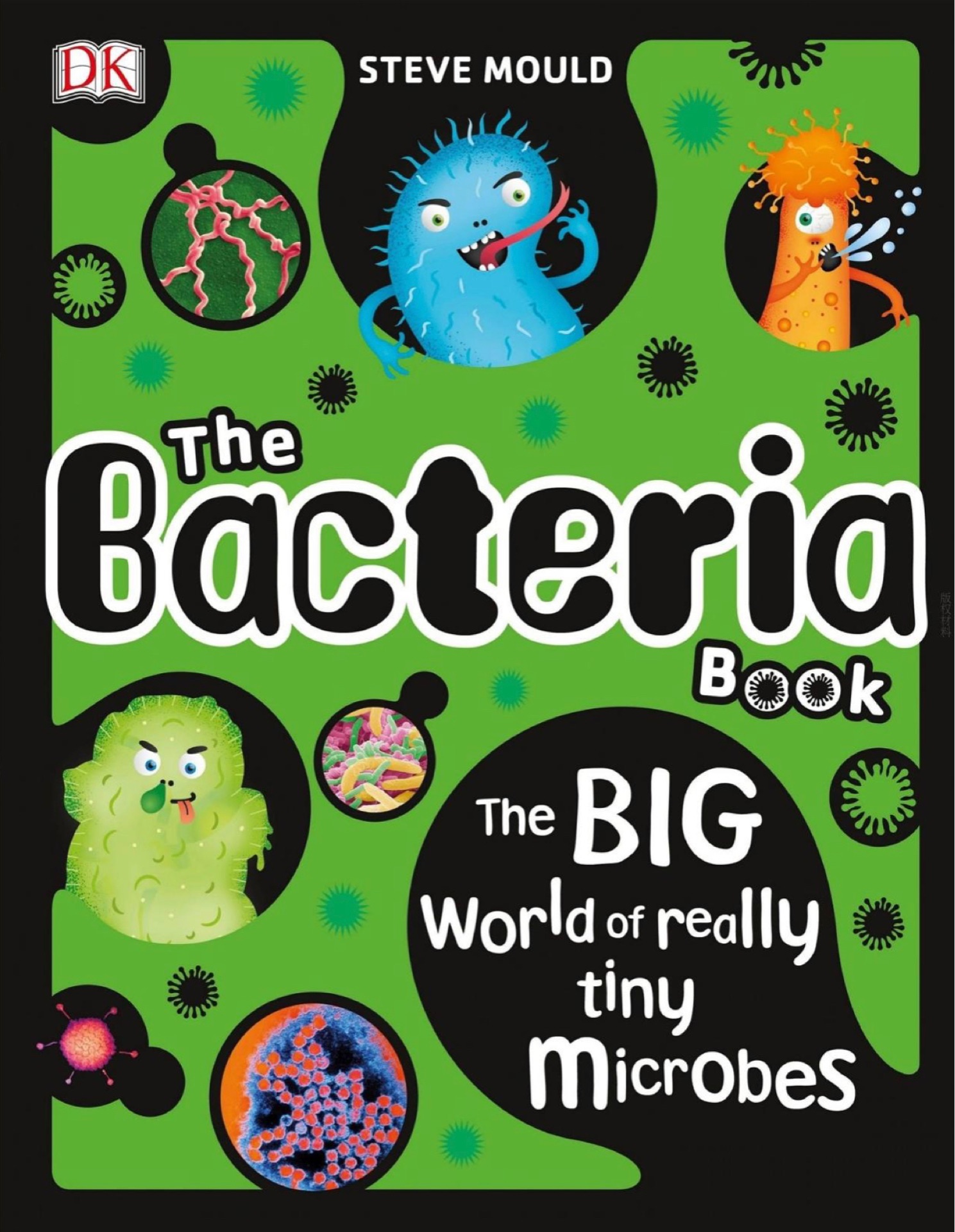 The Bacteria Book: The Big World of Re