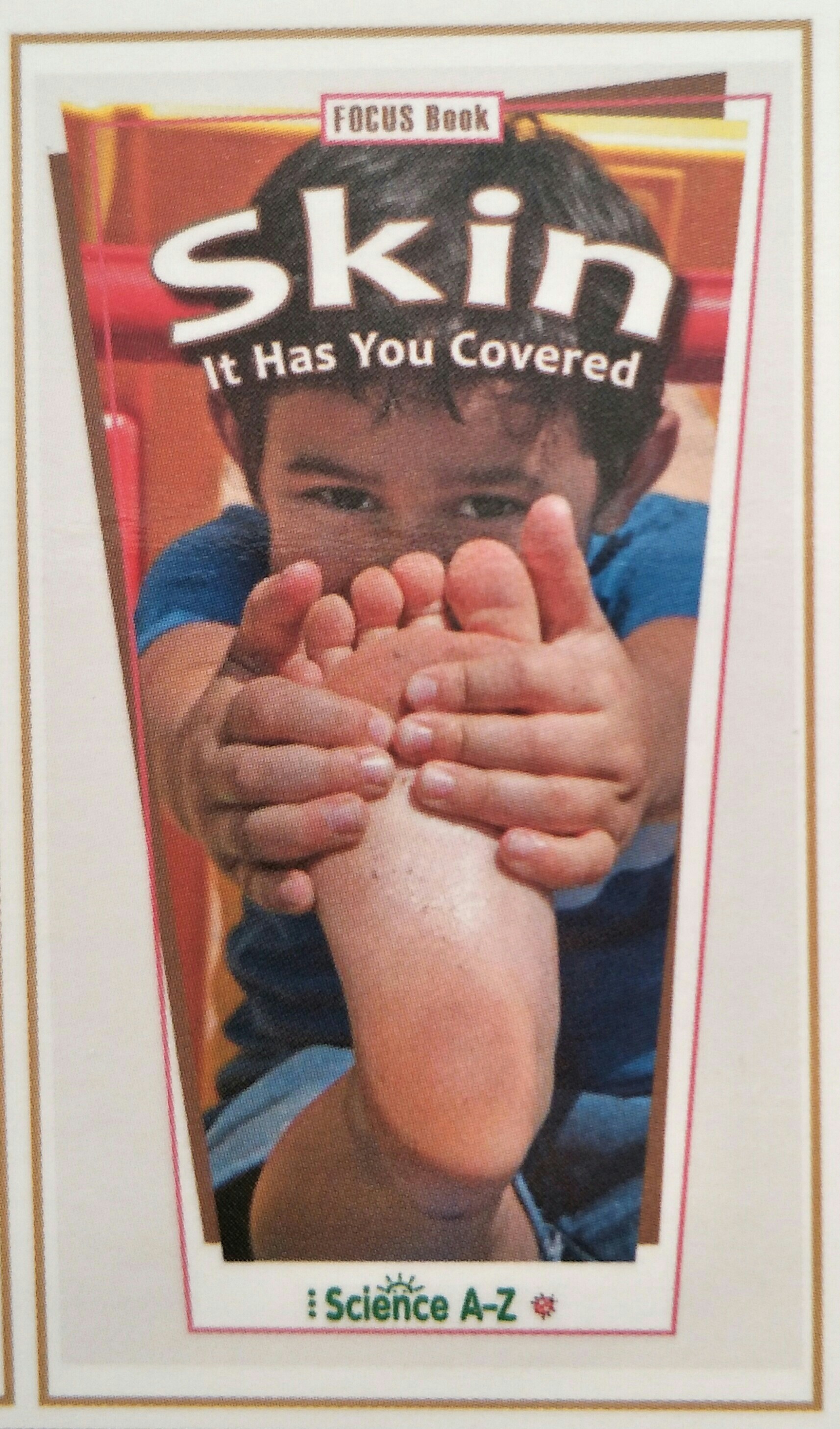 Skin It Had You Covered