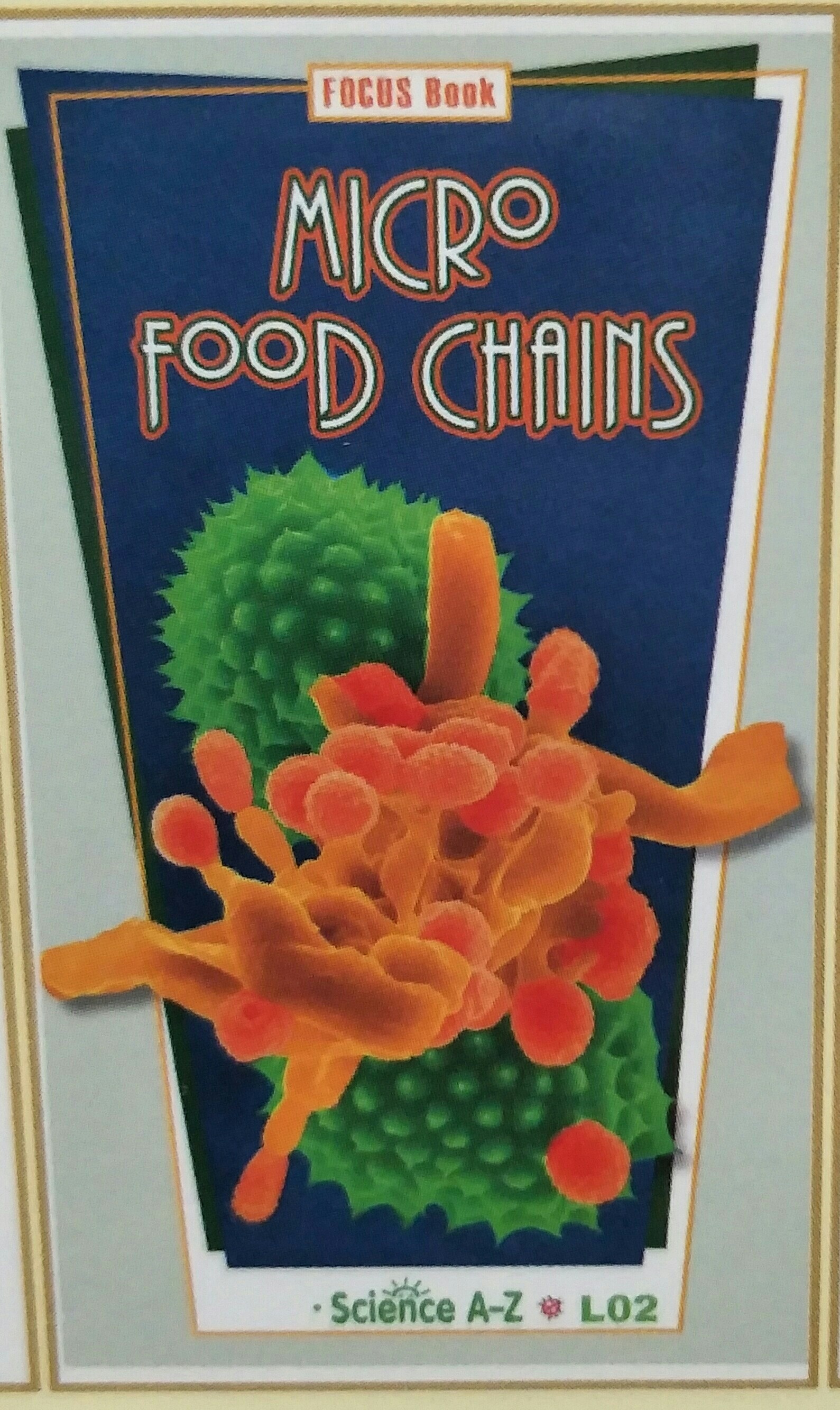 Micro Food Chains