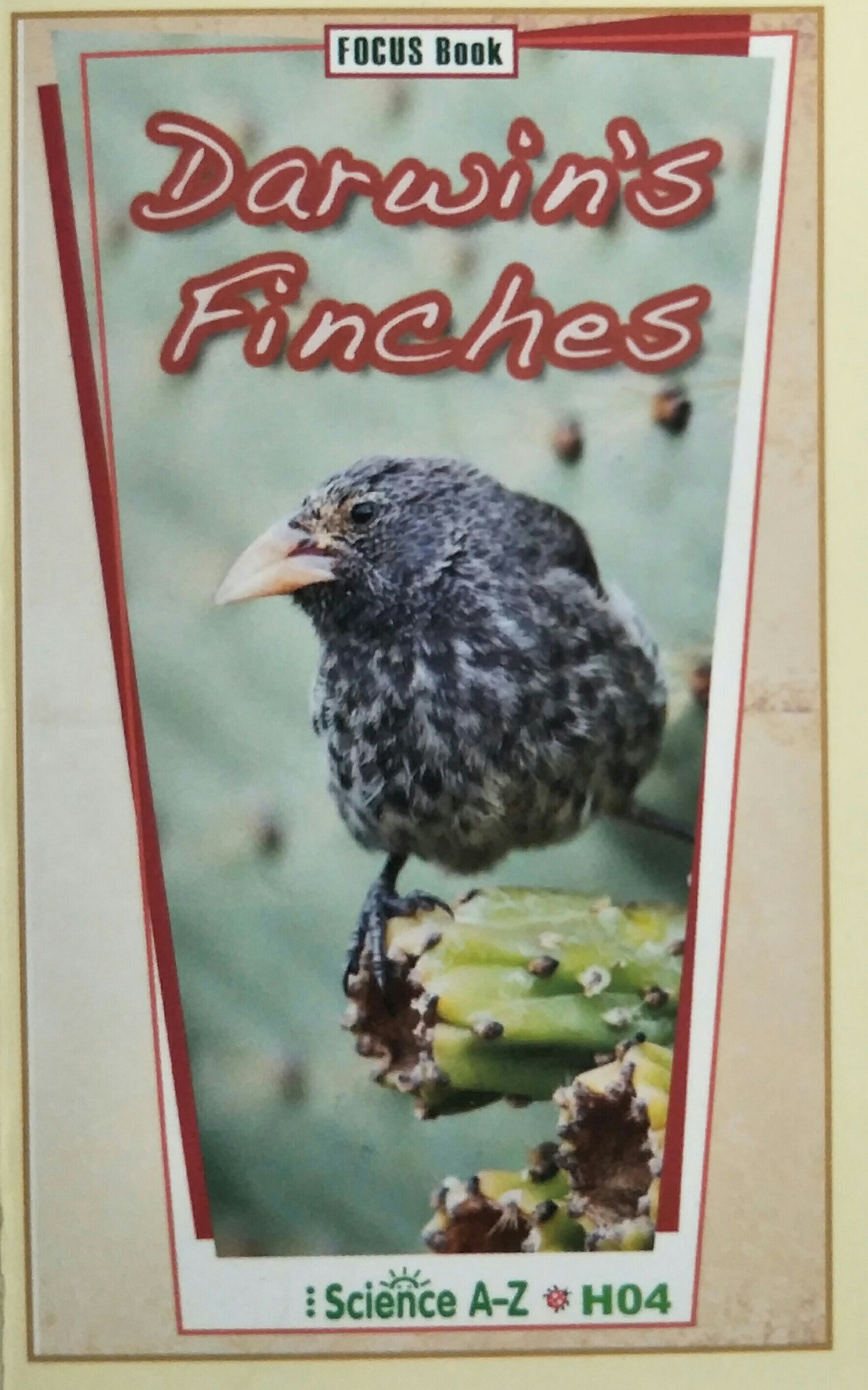Darwin's Finches