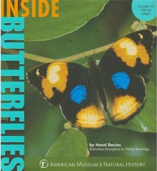 Inside Butterflies 蝴蝶内情