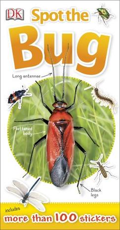 Spot the Bug