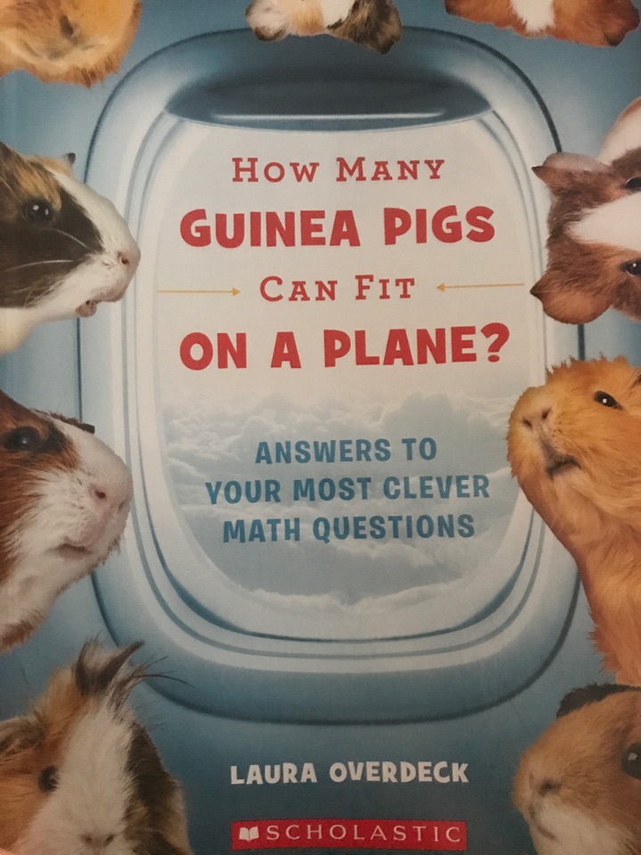 How many guinea pigs can fit on a plan