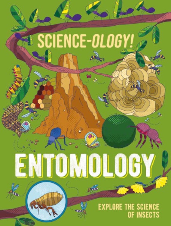 Science-ology!: Entomology - explore t