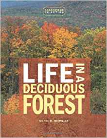 Life in a Deciduous Forest (Ecosystems
