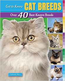 Get to Know Cat Breeds: Over 40 Best-K