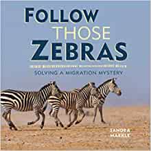 Follow Those Zebras: Solving a Migrati