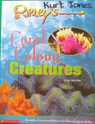 Coral Colony Creatures Ripleys