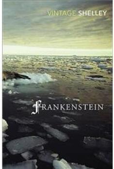Frankenstein (Vintage Classics)
