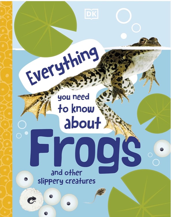 Everything You Need to Know About Frog