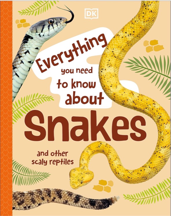 Everything You Need to Know About Snak