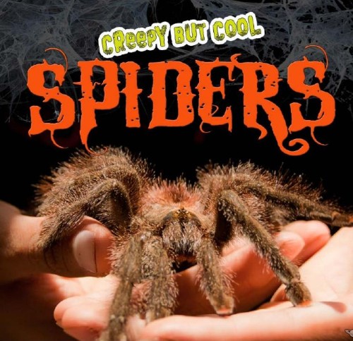Creepy But Cool Spiders