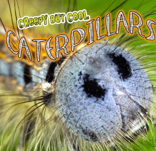 Creepy But Cool Caterpillars