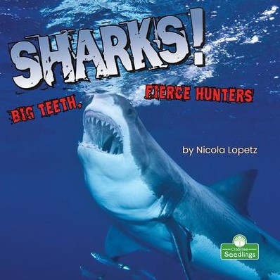 Sharks! Big Teeth. Fierce Hunters