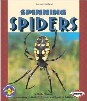 Spinning Spiders