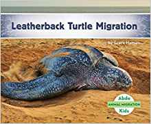Leatherback Turtle Migration (Animal M