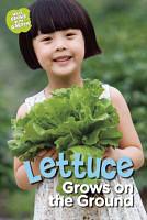 Lettuces Grow on the Ground